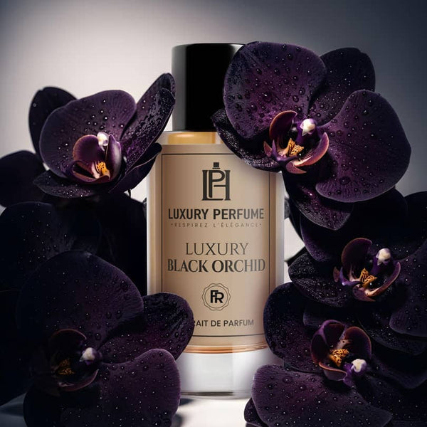 Luxury Black Orchid – Parfum pour le Corps Mixte 50 ml / 100 ml